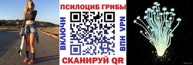 блэк спрут ССЫЛКА  Жуков  Псилоцибиновые грибы GOLDEN TEACHER 